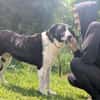Bezaubernde Grace sucht Körbchen
