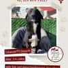 Polly sucht ab November ein zu Hause