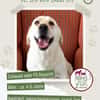 Efe sucht ab November ein zu Hause