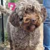 Mia7 sucht ein Zuhause
