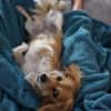 liebe Elenora sucht