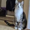 Fienne Ruhige Prinzessin sucht  Familie