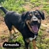 ARMANDO