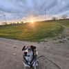 Cody braucht dringend ein zu Hause