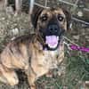 Abenteuer Bruno sucht seine Familie!