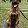 Abenteuer Bruno sucht seine Familie!