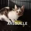 ARSOUILLE