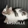 ARSOUILLE