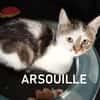 ARSOUILLE