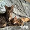 ARIEL et ABBY   Double adoption