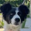 MAX (Martina)