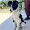 MAX (Martina)