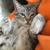 BOUBA