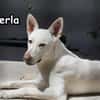 PERLA
