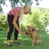 AMY-MA - bezaubernde Hundedame