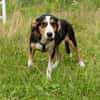 Anna - Familienanschluss gesucht