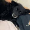 💕Becky💕 sucht ihre Menschen