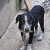 Liebe Paula, sucht ihre Familie