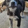 Liebe Paula, sucht ihre Familie