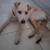 Super BUDY !