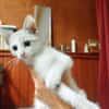 OBY