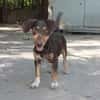 Jasmin sucht eine liebevolle Familie
