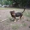 Jasmin sucht eine liebevolle Familie