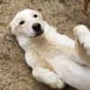 Sanfter Casper