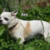 BEN