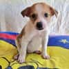 Marcy sucht ein Zuhause
