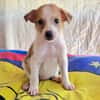 Marcy sucht ein Zuhause