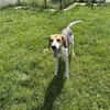 OTTO