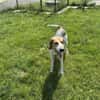 OTTO