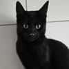 Asmar