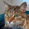 LILI (réservée) QCT