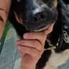 Jerry ist mein Name  warte in PLZ 69509