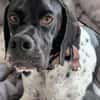 Onyx  Ein 6er im Lotto