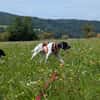 Onyx  Ein 6er im Lotto