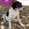 Yuna2 verschmust und gesellig 05/24 DE