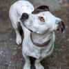 Klein♥Abbie♥Schmusemaus 63820 Elsenfeld