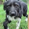 COOPER wartet schon lange