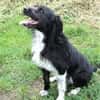 COOPER wartet schon lange
