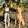 Ted & Millie - Freunde fürs Leben
