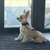 KAYA (en cours d'adoption)