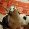 Aeryn