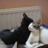Aeryn