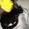 Mujy