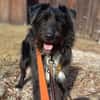 DOLLY -Sucht Begleitung an ihrer Seite-