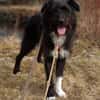 DOLLY -Sucht Begleitung an ihrer Seite-