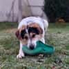Huckleberry Finn freut sich auf dich!